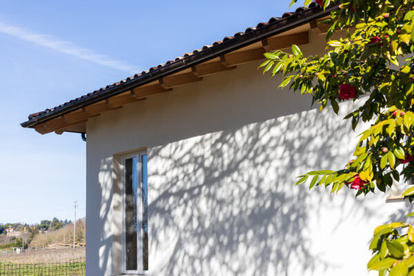 Parete esterna integrata nel verde circostante di una casa in legno Velletri.