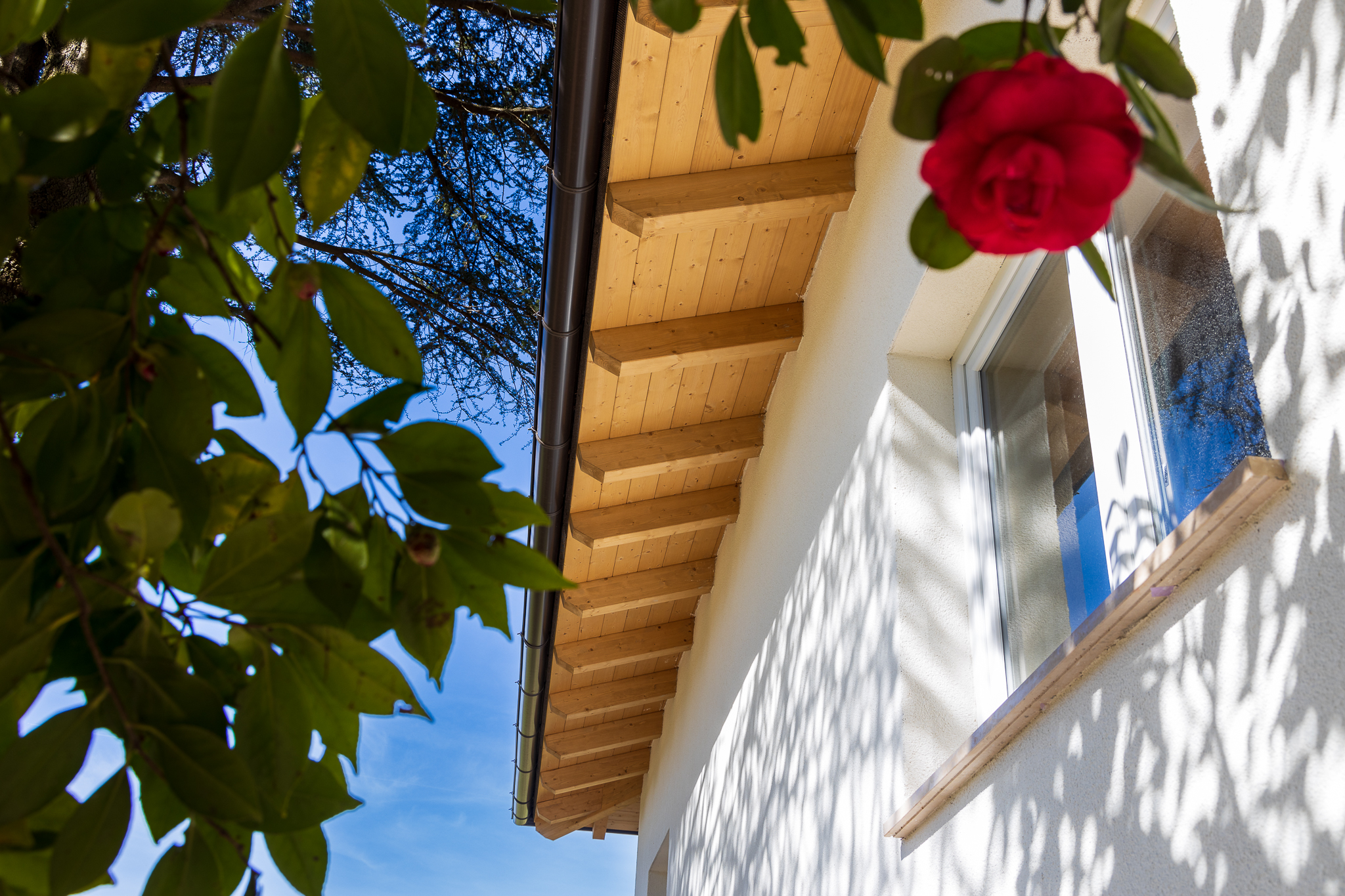 Facciata esterna di una casa in legno completata al livello dynamic plus libianchi con i fiori